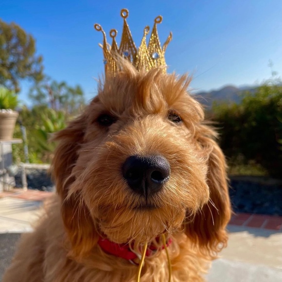 Wickedcoolstuff - Picture 3 of 9